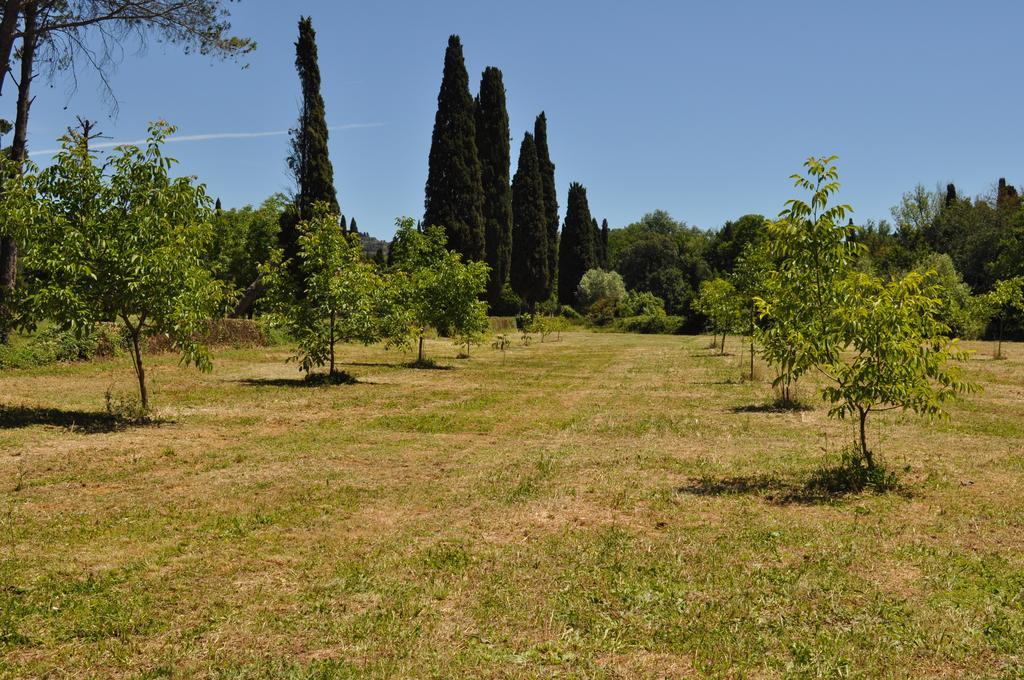 Visconte Apartment Firenze Værelse billede